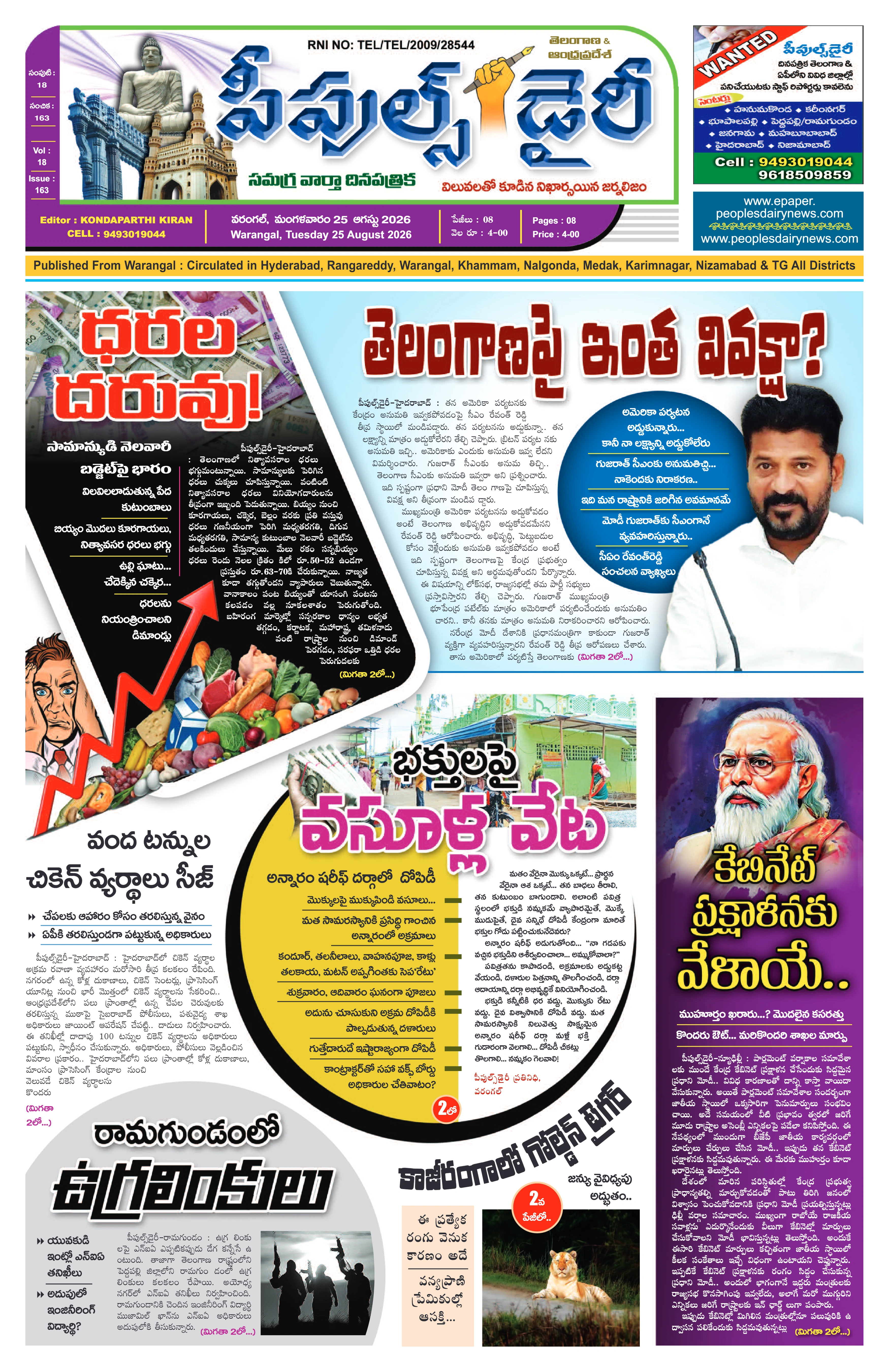 E-Paper Page